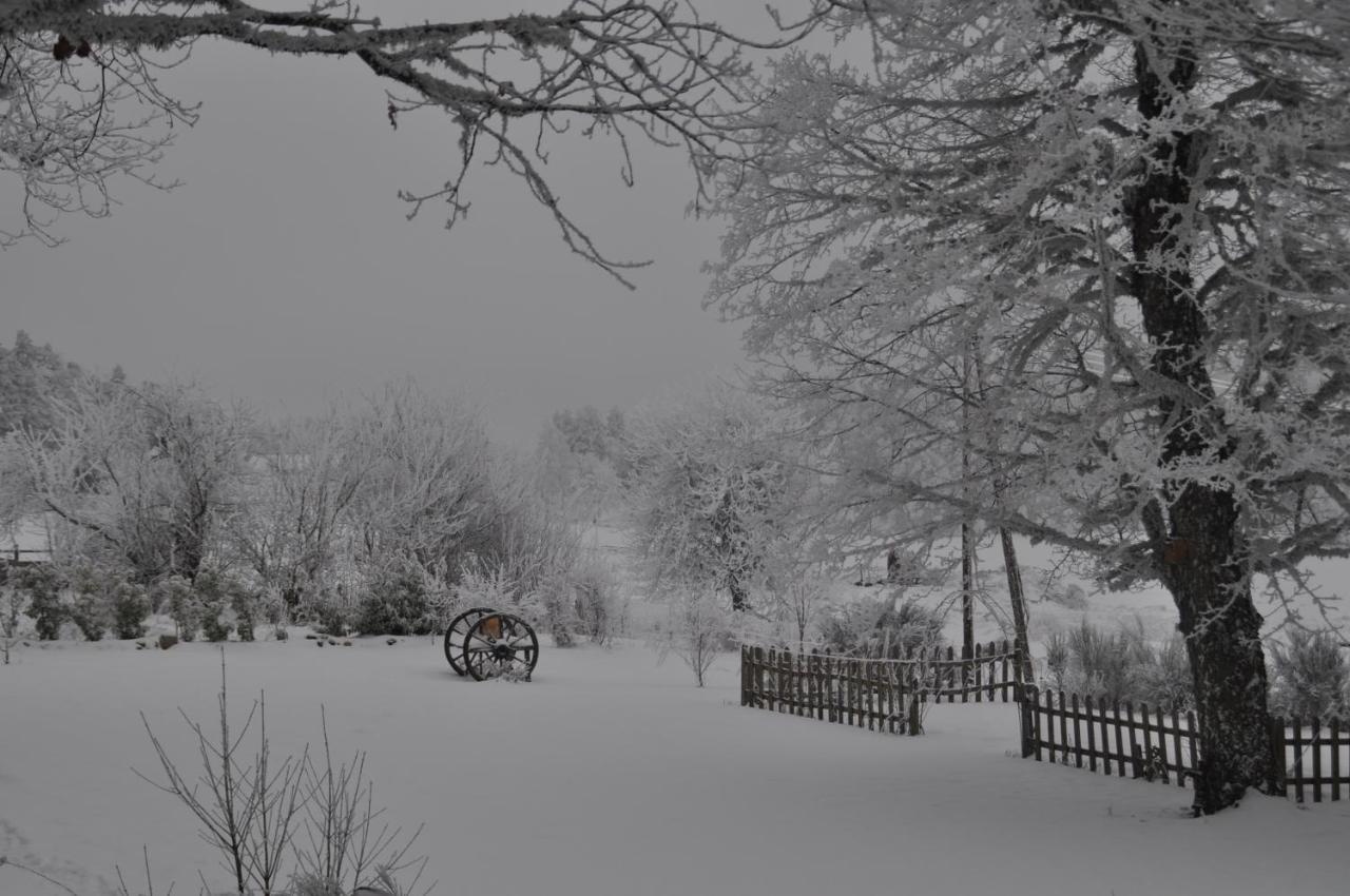 Bed and Breakfast Manoir Du Grail Devesset Exterior foto