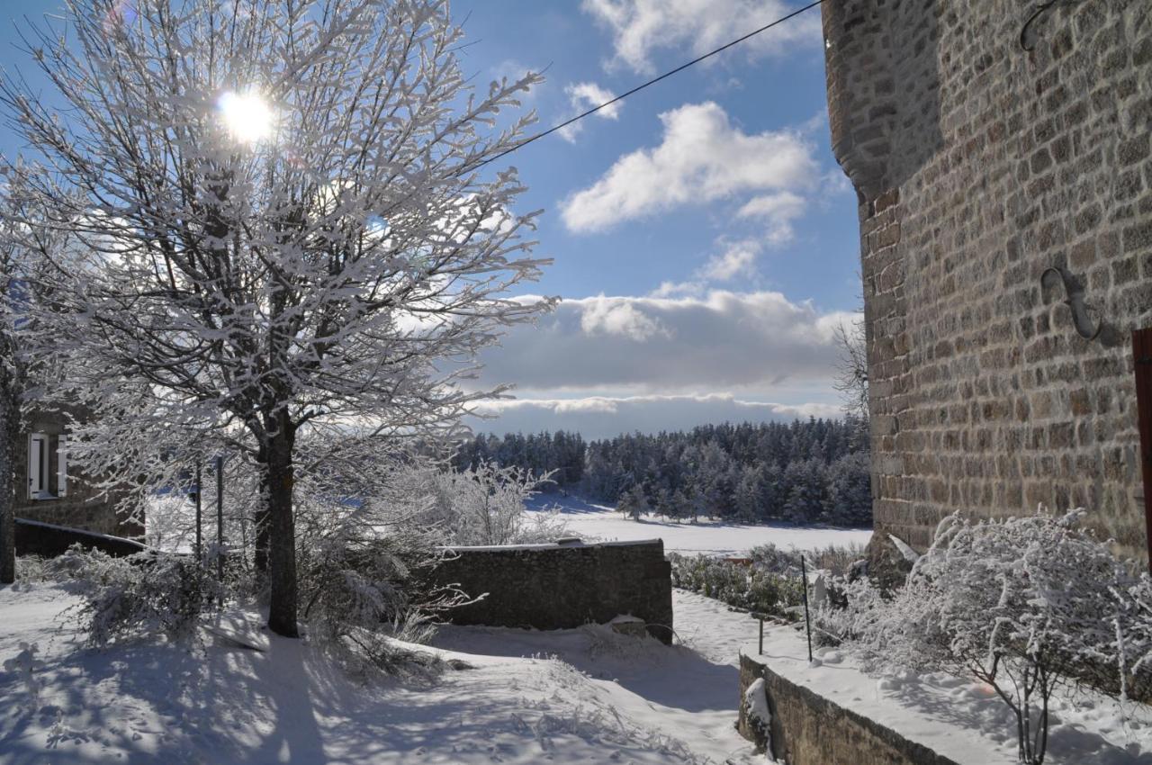 Bed and Breakfast Manoir Du Grail Devesset Exterior foto