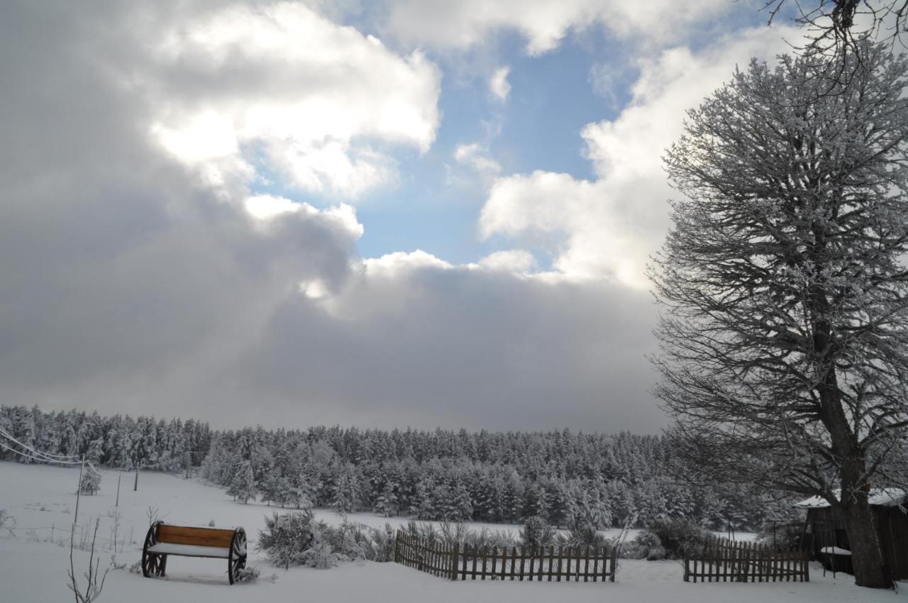 Bed and Breakfast Manoir Du Grail Devesset Exterior foto